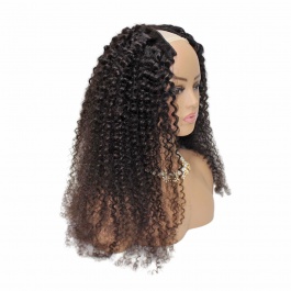 Elesis Virgin Hair  customize V-part Wig machine made raw hair wig -VP01